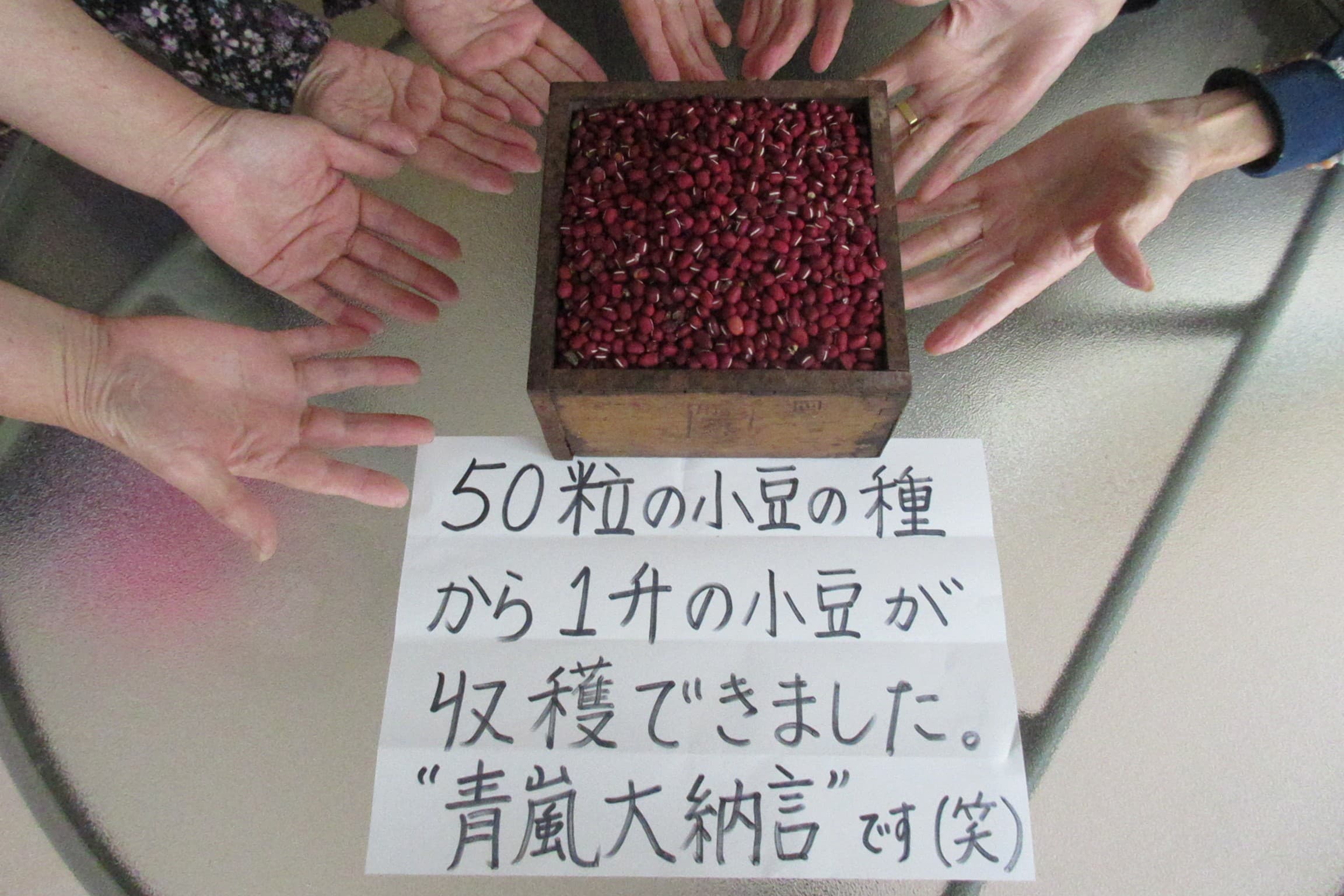特別養護老人ホーム青嵐荘のカバー画像
