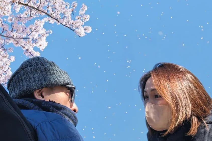 潮音のカバー画像