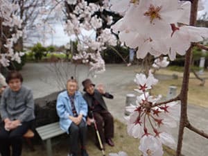 デイサービスよしざわさんちのカバー画像