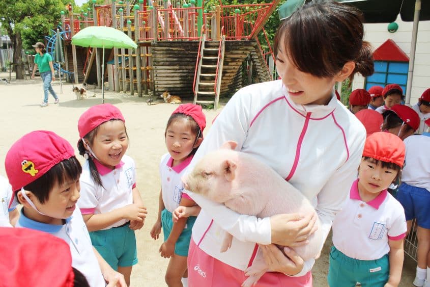 郡山敬愛幼稚園のカバー画像