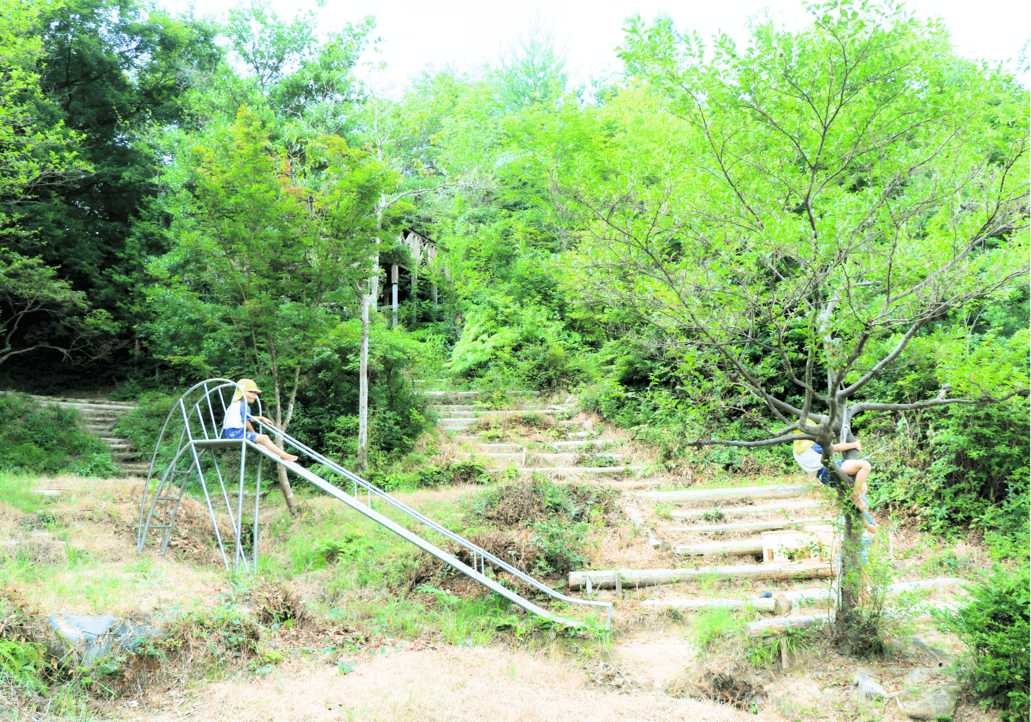 焼山みどり幼稚園のカバー画像