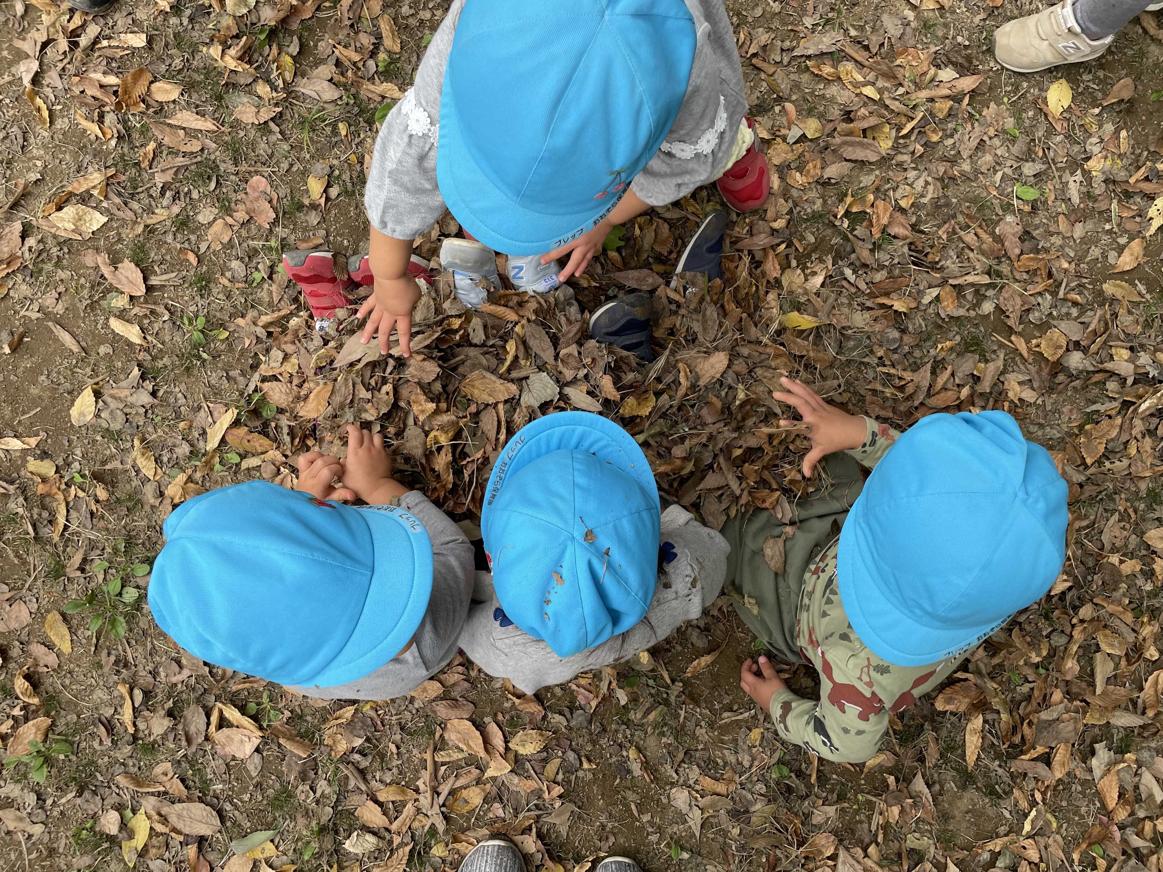 プレップおおぞら保育園のカバー画像