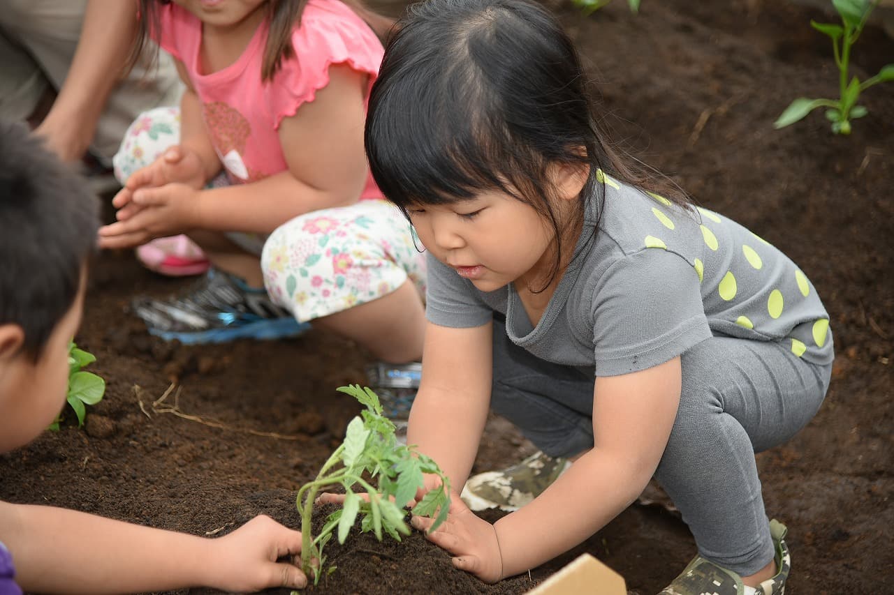 メリー★ポピンズ 桶川ルームのカバー画像