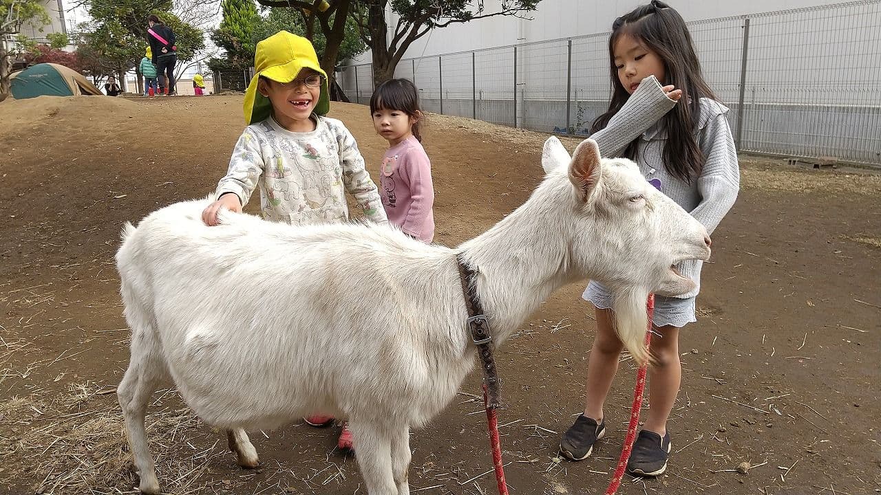 中目黒どろんこ保育園のカバー画像