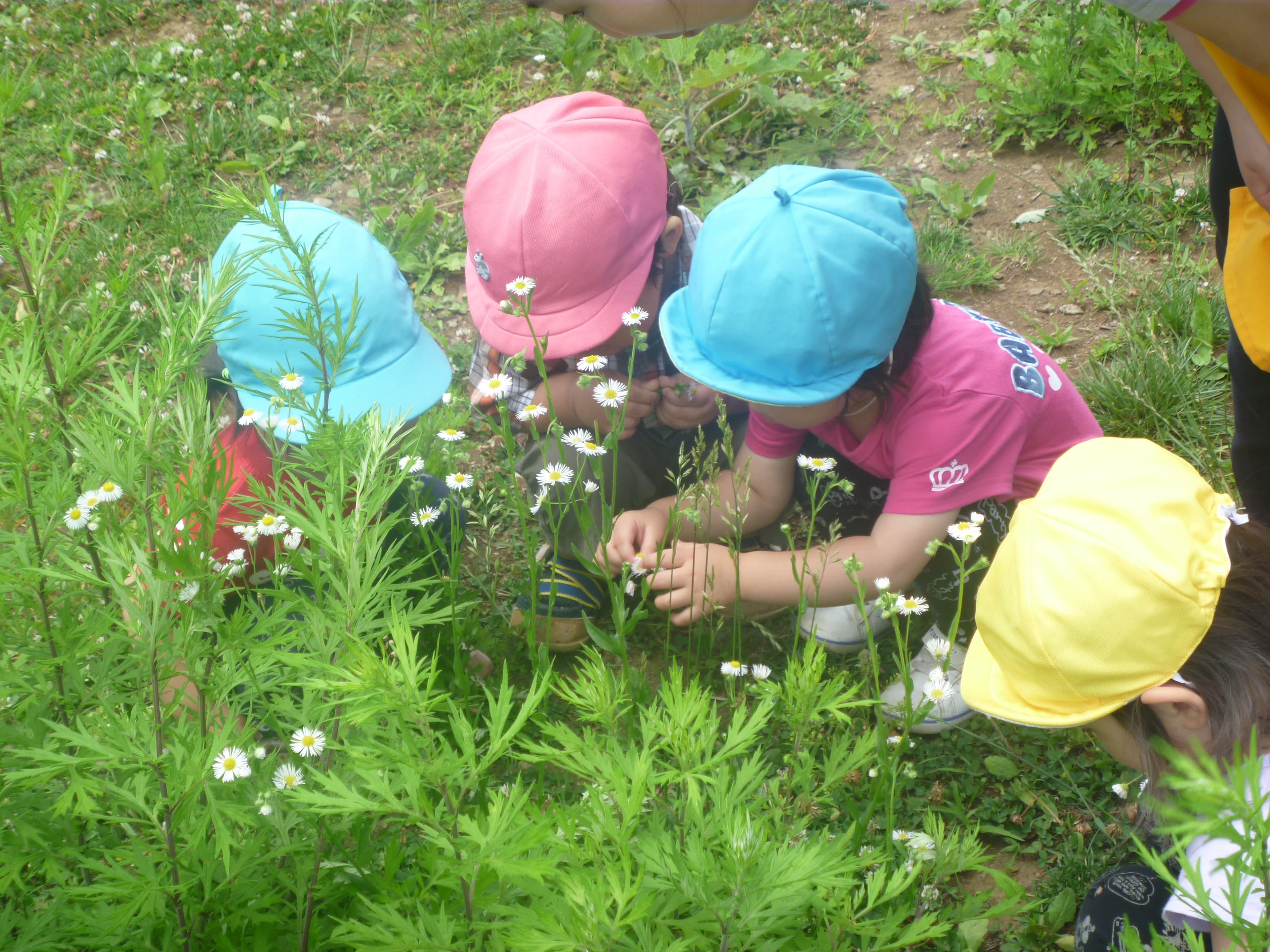 保育ルームフェリーチェ朝霞園のカバー画像