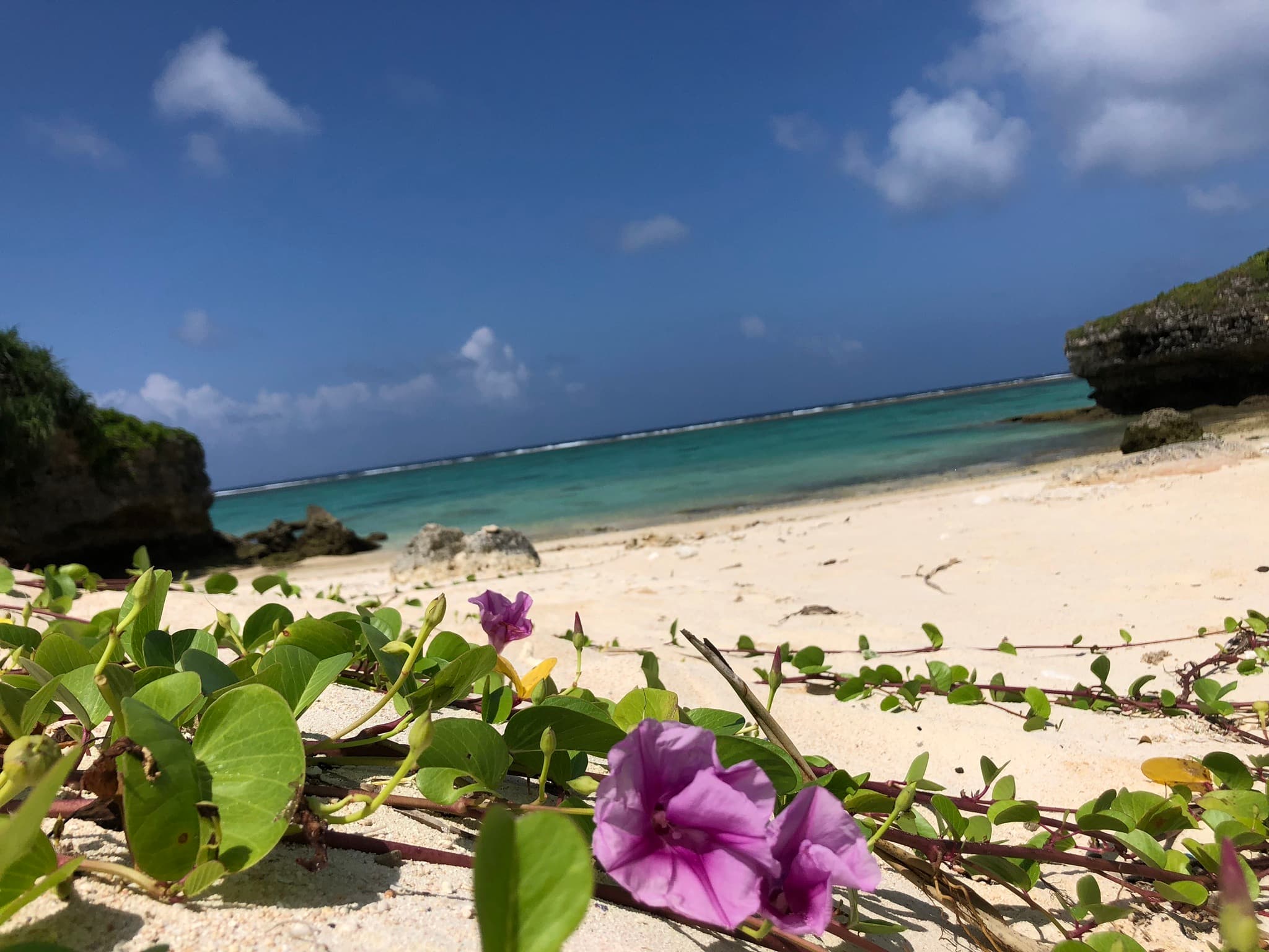 ユースタイルケア大泉学園のカバー画像
